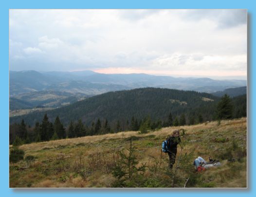 29 - 31 pa�dziernika 2008