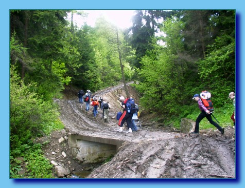 maj 2004