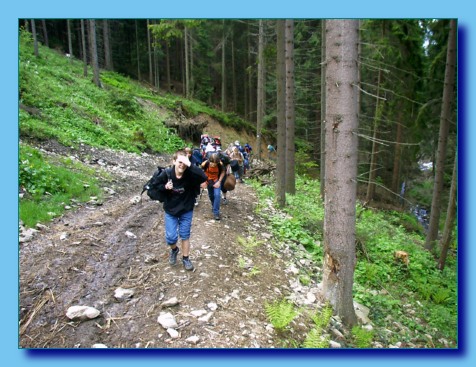 maj 2004