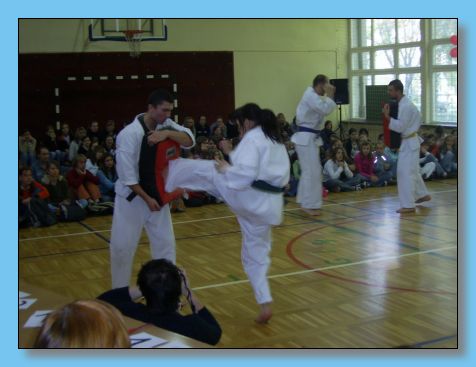 padziernik 2006