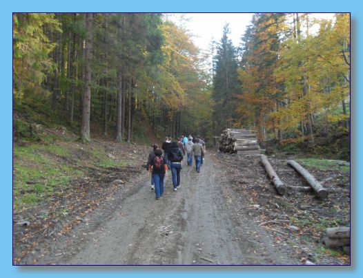 6 - 8 padziernika 2010