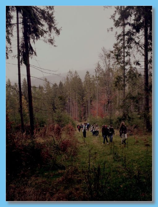 padziernik 2012