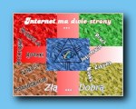 kliknij aby zobaczy powikszenie SosnowiecG24_PiotrRospondek_14_op_AnnaSzaszkowska.jpg