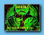 kliknij aby zobaczy powikszenie SosnowiecG24_WoniakJowita_14_op_AnnaSzaszkowska.jpg